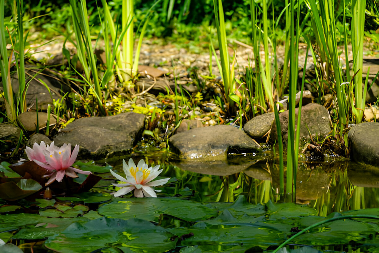 pond pump
