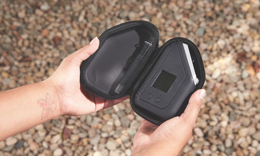 How Family and Relationship Support Builds Trust and Lasting Love